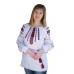 Embroidered blouse "Iryna"